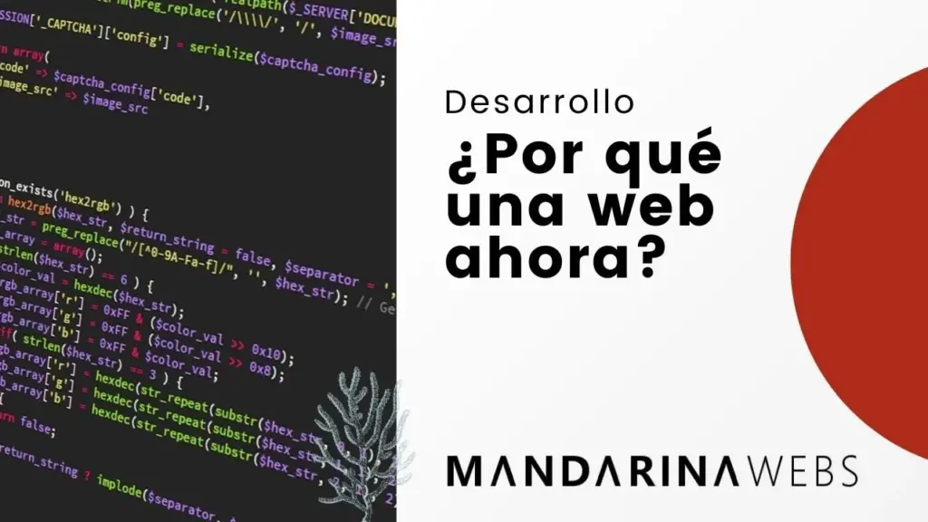 La importancia del Desarrollo Web en las Empresas