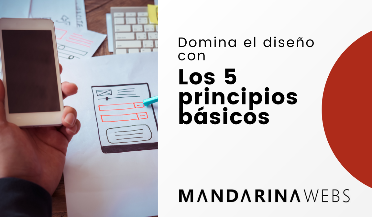 Los 5 principios básicos